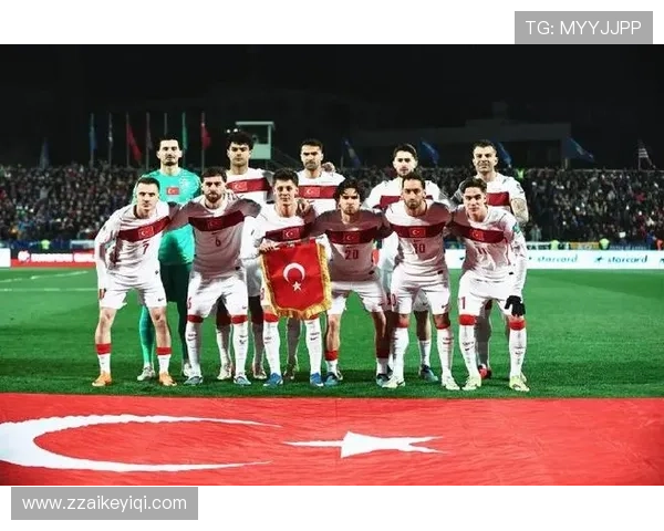 世界杯土耳其队D组比赛看点盘点
